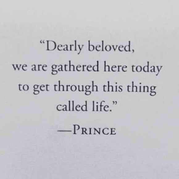 Meet your Posher, Brianna - Picture 3 of 6